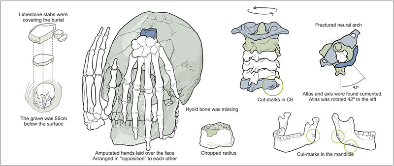 Illustration for article titled This Is the Oldest Case of Ritual Decapitation Ever Uncovered in the Americas